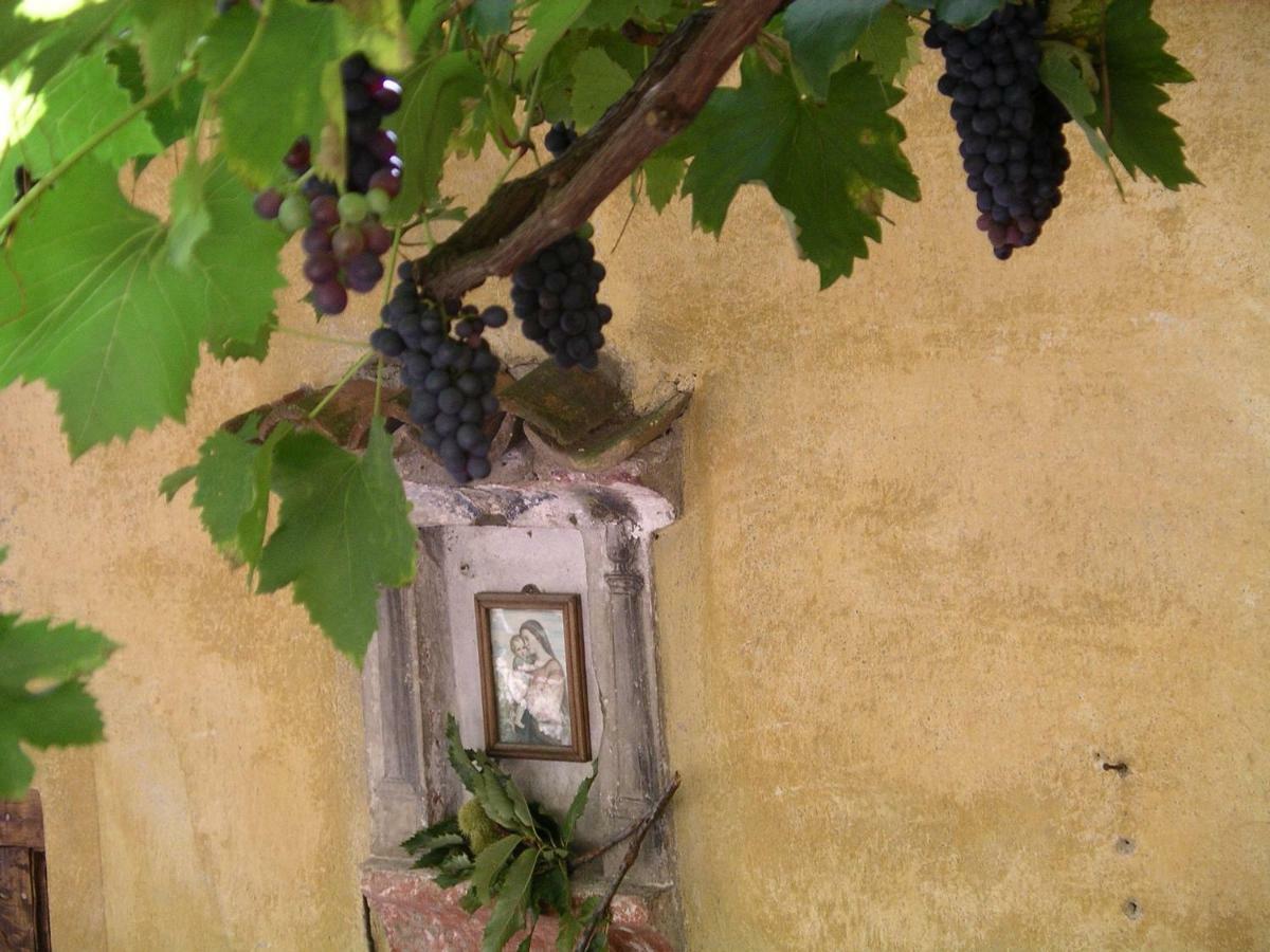 Casa 1659 - Casa Parrucchiere Βίλα Gandria Εξωτερικό φωτογραφία